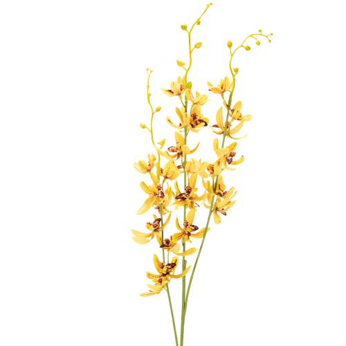 položky Umelá orchidea Cymbidium ako kvetinová stonka pre elegantnú dekoráciu, 95 cm, 2 kusy
