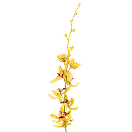položky Umelá orchidea Cymbidium ako kvetinová stonka pre elegantnú dekoráciu, 95 cm, 2 kusy