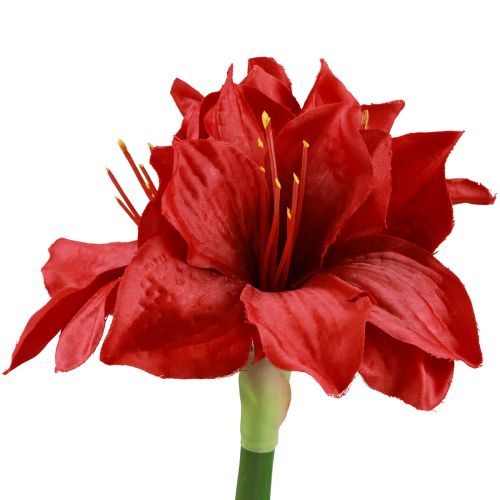položky Umelé vianočné kvety Amaryllis Červené umelé kvety L40cm