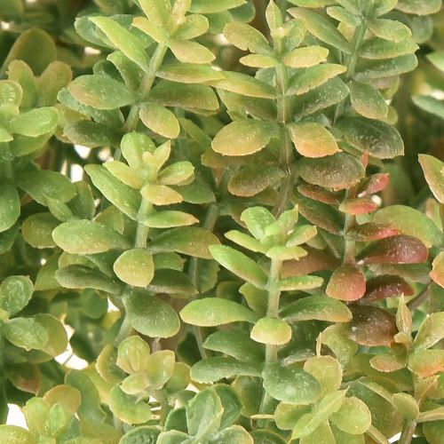 položky Mini sukulentná umelá zelená umelá rastlina so stonkou V23 cm