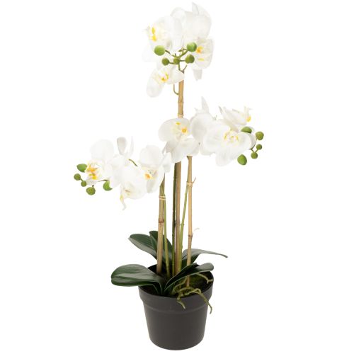 položky Umelá orchidea v kvetináči pre harmonickú atmosféru, biela, 60 cm