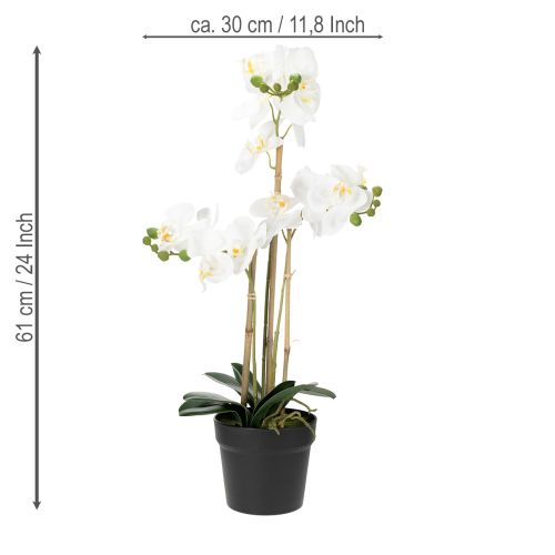 položky Umelá orchidea v kvetináči pre harmonickú atmosféru, biela, 60 cm