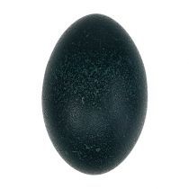 kategória Veľkonočné vajíčka zdobenie kraslíc