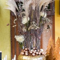 položky Špendlíkový vankúšik umelé kvety exotické Protea Leucospermum krém 73cm 3ks