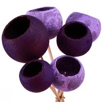 Bell Cup na paličke Exotická suchá dekorácia Purple Berry 44cm 15ks