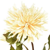 položky Chryzantéma krémová umelá kvetina s 2 kvetmi L70cm