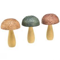 položky Drevené huby dekoračné huby jesenná dekorácia drevo asort 11×7,5cm 3ks