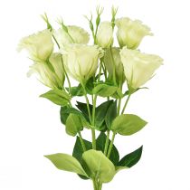 položky Umelé kvety Eustoma Lisianthus žltozelená 52cm 5ks