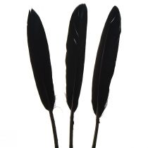 položky Čierne perie Dekoratívne husacie perie čierne 11-14cm 180ks