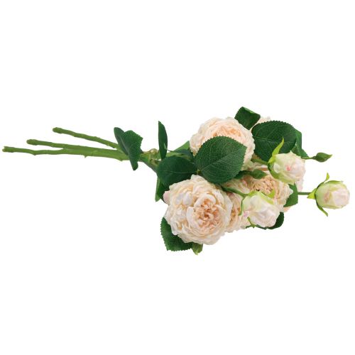 položky Umelé ruže krémové Umelé ruže Dry Look 53cm 3ks
