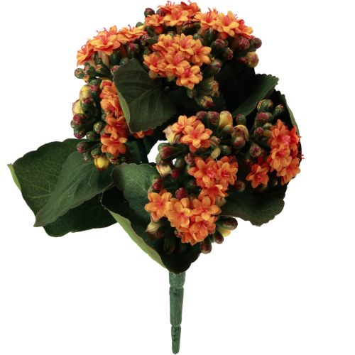 položky Flaming Käthchen Kalanchoe umelý pomaranč 24cm