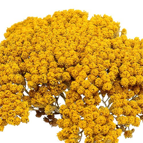položky Achillea 1kg prírodná