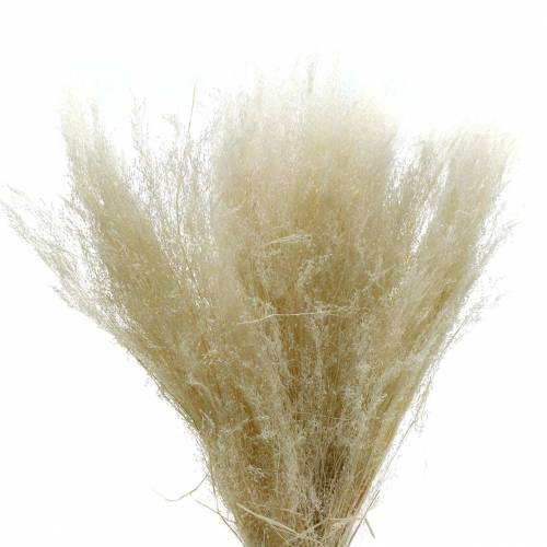 Suchá tráva Agrostis bielená 40g