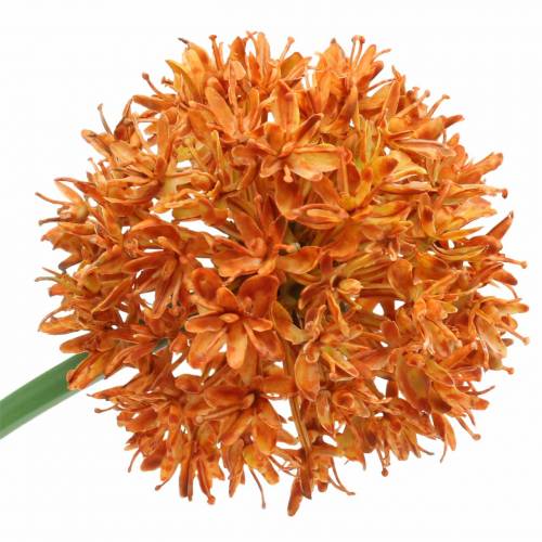 Floristik24 Okrasná allium umelá oranžová Ø7cm V58cm 4ks