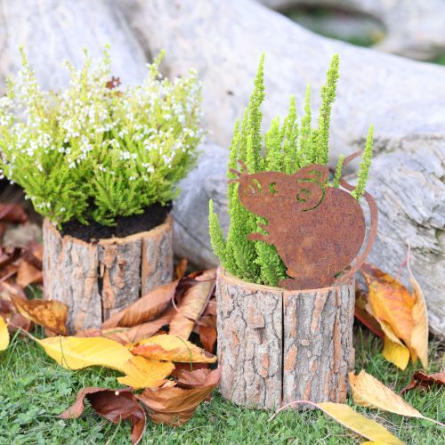 položky Drevený kvetináč s motívom kôry a myšiej hrdze, výška 24 cm