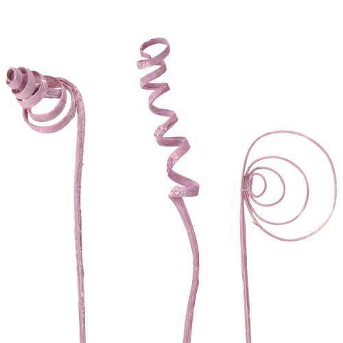 položky Trstina špirála, trstina kužeľ, trstina sortiment bobuľový 30 cm 75 ks