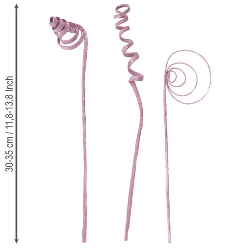 položky Trstina špirála, trstina kužeľ, trstina sortiment bobuľový 30 cm 75 ks