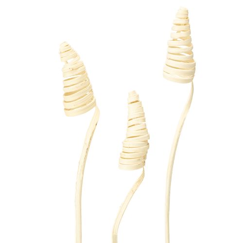 položky Trstinová šiška bielená 25 ks