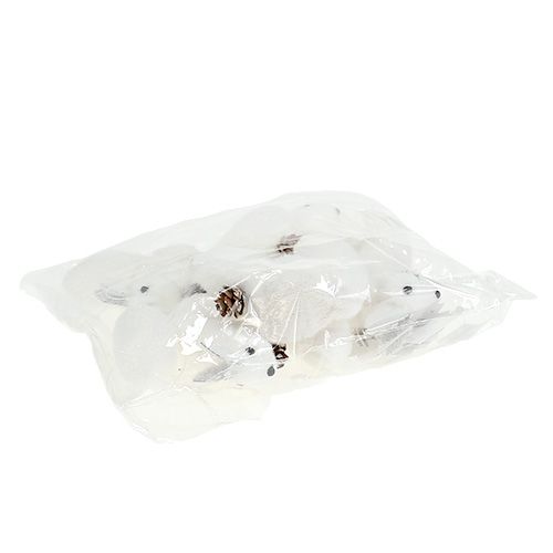 Floristik24 Vianočné ozdoby na stromček veverička biela 7cm 6ks