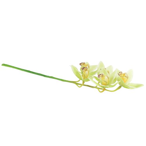 Floristik24 Cymbidium orchidea umelá 5 kvetov zelená 65cm