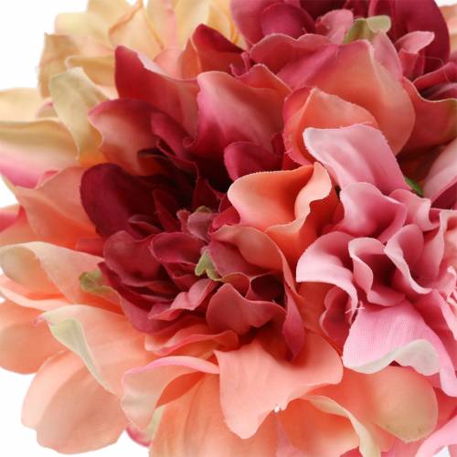 Floristik24 Kytička georgínová 28cm ružová, krémová 6ks