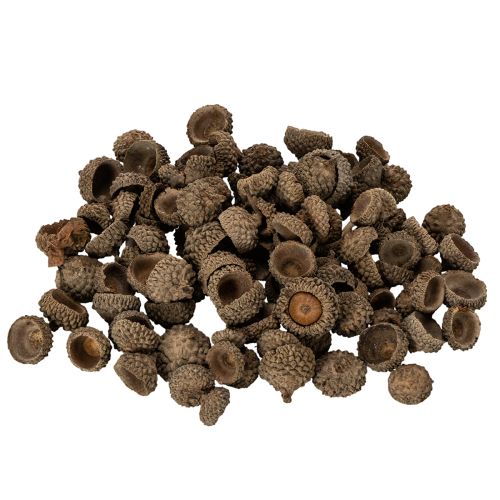 Článok Prírodné žaluďové čiapky, dekoratívne misky na jeseň a advent, 2 cm, 300 g