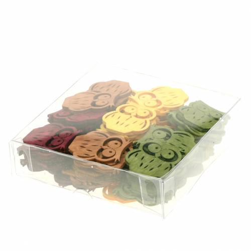 Floristik24 Bodová dekorácia sovy drevo rôzne farby 4cm 72 ks