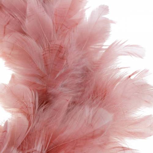 Floristik24 Deko pierkový veniec veľký staroružový veľkonočná dekorácia Ø24cm pravé pierko