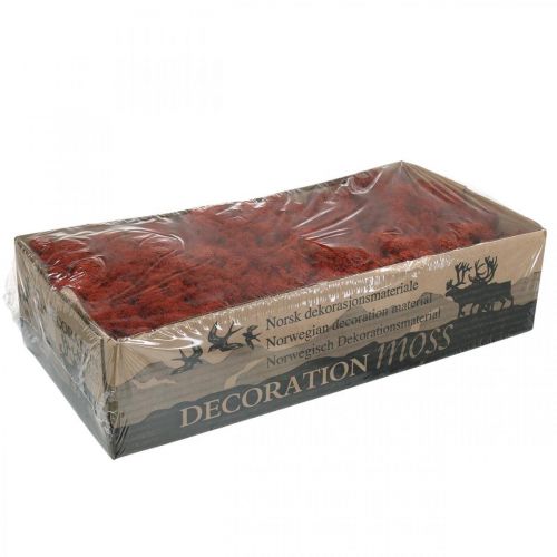 položky Dekoratívny mach červený Siena prírodný mach na remeslá sušený, farbený 500g