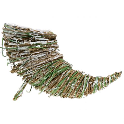 Floristik24 Zasaďte vŕbu kornútok V20cm