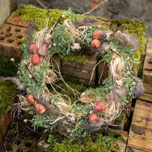 položky Zeleninová dekorácia mini cvikla umelá Ø2,5cm V3,5cm 24 ks