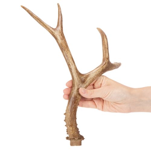 Článok Umelé parohy, realistické, rustikálne, 32 cm