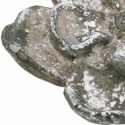 Floristik24 Dekorácia na hrob, betónová dekorácia, záhradná dekorácia, betónová ruža Ø15,5cm