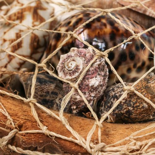 položky Polovica škrupín kokosových orechov dekorácia ulity slimákov 18–19cm 3 ks