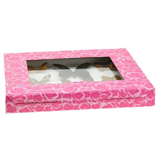 Floristik24 Vitrína motýľ 28cm x 25cm