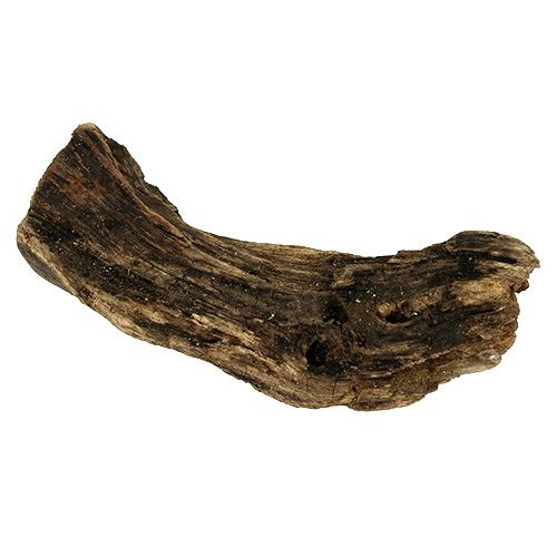 položky Drevo koreň natur 6cm-13cm 500g