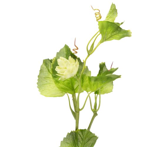 položky Chmeľový konár 70cm zelený 2 kusy umelá rastlina