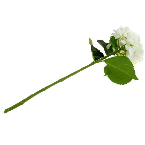 Floristik24 Hortenzia biela L54cm 1ks