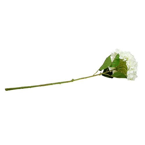 Floristik24 Hydrangea Maxi White Ø30cm L113cm