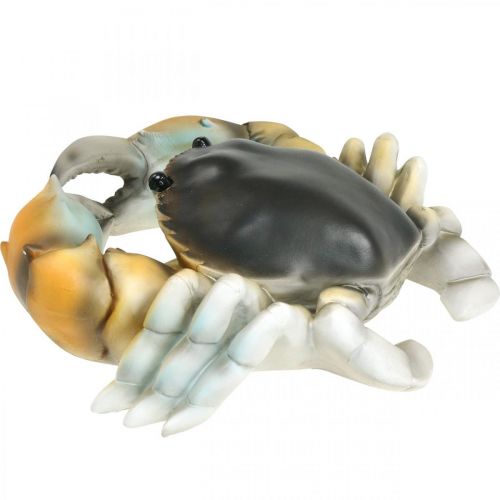 Floristik24 Morský tvor, plážový krab, námorná dekorácia oranžovo-hnedá 31×25cm