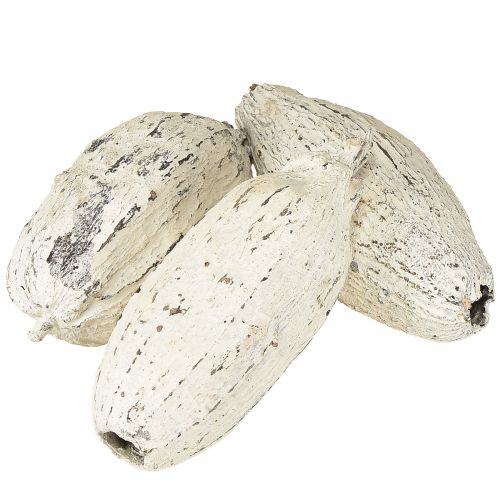 položky Kakaové struky bielené 15 ks