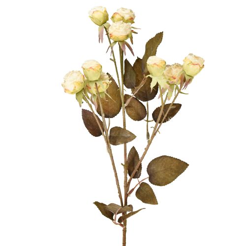 položky Umelé ruže zvädnuté Drylook 9 okvetných lístkov krémová 69cm