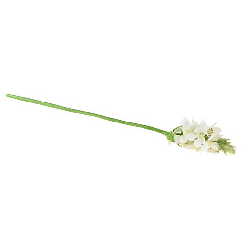 položky Umelý kvet Garden Milk Star Umelý kvet biely 50cm