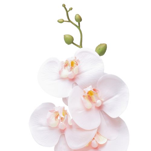 položky Umelá orchidea ružová Phalaenopsis Real Touch 83 cm