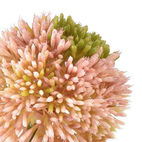 položky Umelý allium okrasný cesnak ružovo zelený Ø10cm L65cm