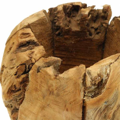 Floristik24 Misa hrniec burl gáfor Ø20cm H17cm