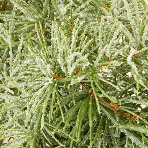 položky Dekoratívna girlanda z smrekovcového dreva pre atmosférickú dekoráciu miestnosti, 250 cm