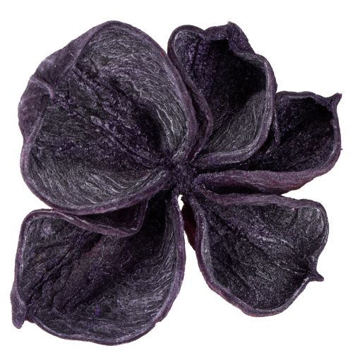 položky Landlotus Mix Blackberry, Old Pink 50 ks