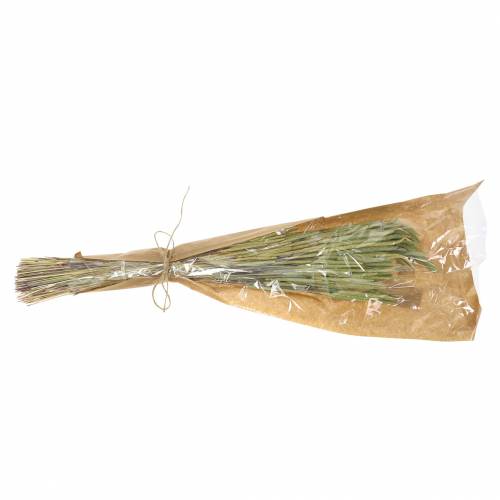 Floristik24 Timothy grass nature 50-60cm 100g