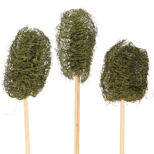 položky Luffa malá na paličke, uhorková, tmavozelená 5-7 cm 25 ks